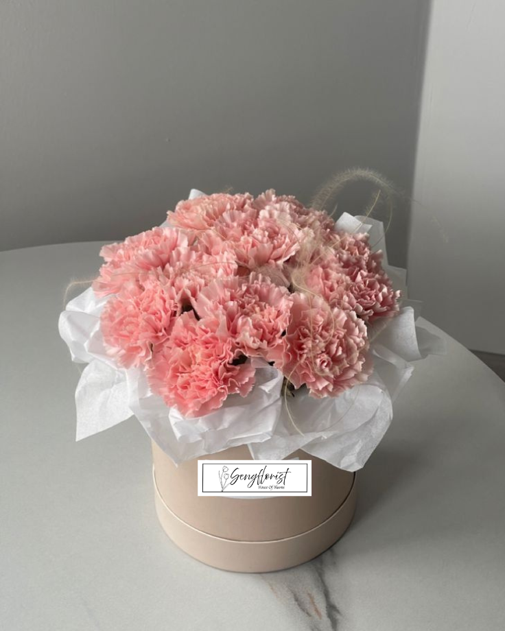 Sweet Carnation Box BLOOM BOX